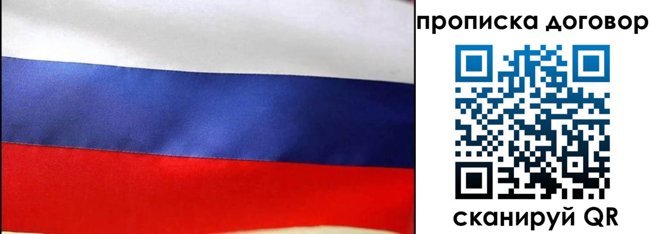 прописка гарантия в Йошкар-Оле